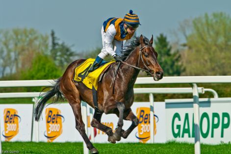 1_galopp-4.jpg
