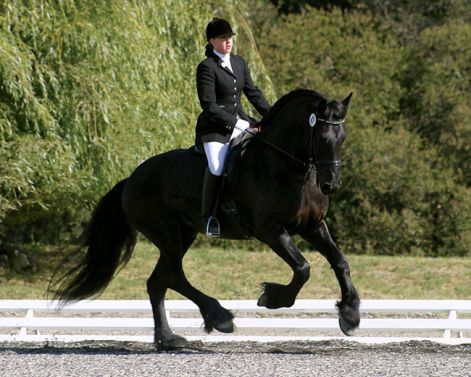 clareridingtitancanter.jpg